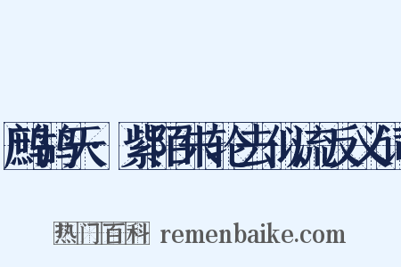 鹧鸪天·紫陌朱轮去似流反义词是什么意思的图片
